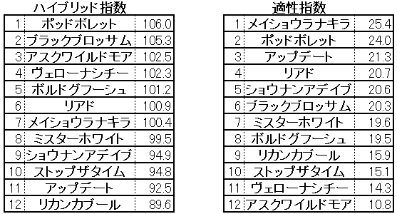 2022　京都新聞杯　HB指数 - コピー (2)